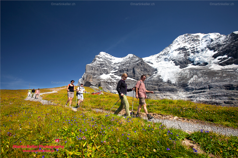 Eiger Walk